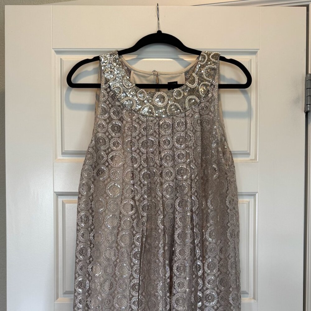 Anthropologie SACHIN & BABI Metallic Silver Embroidered A-Line Dress
